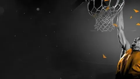 星空体育平台星空体育平台官网新动作落地引发关注